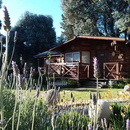Pualy Resort & Spa Белен-де-Эскобар Экстерьер фото